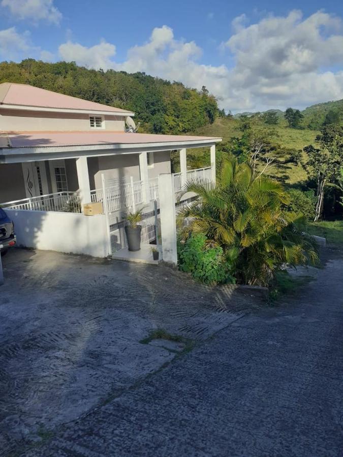 Chez Coco Appartement Balisier Riviere-Salee المظهر الخارجي الصورة