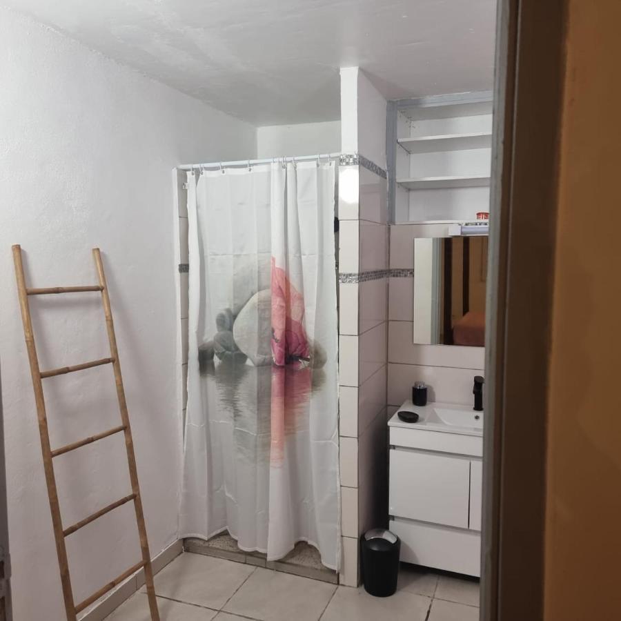 Chez Coco Appartement Balisier Riviere-Salee المظهر الخارجي الصورة